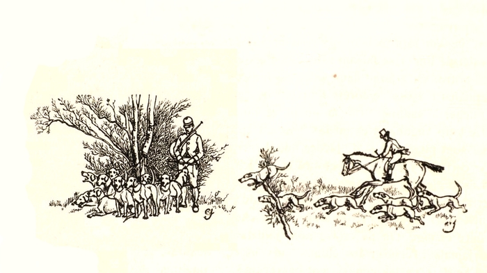 Illustration tirée du Manuel de Vènerie française - Emmanuel Le Couteulx de Canteleu (1890) - Hachette et Cie (Paris) - BnF (Gallica) (1)